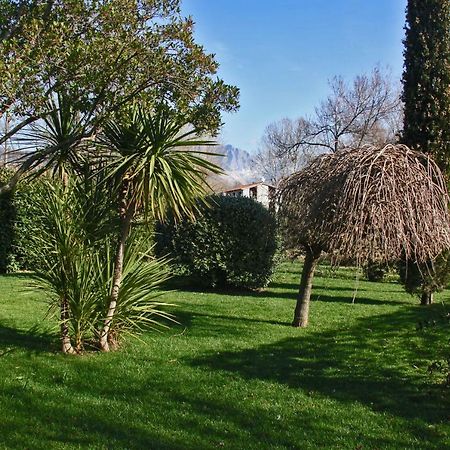 Macchia Home Marina Di Carrara Luaran gambar