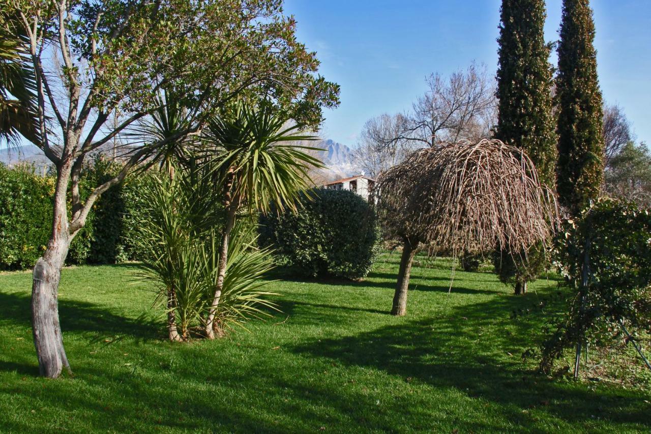 Macchia Home Marina Di Carrara Luaran gambar